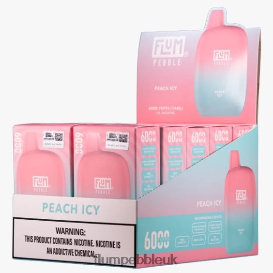 FLUM PEBBLES 6000 PUFFS 10 PACKS | Flum Pebble UK R6464B61 Peach Icy