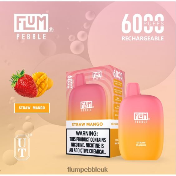 FLUM PEBBLES 6000 PUFFS | Flum Pebble Vape Price R6464B68 Straw Mango