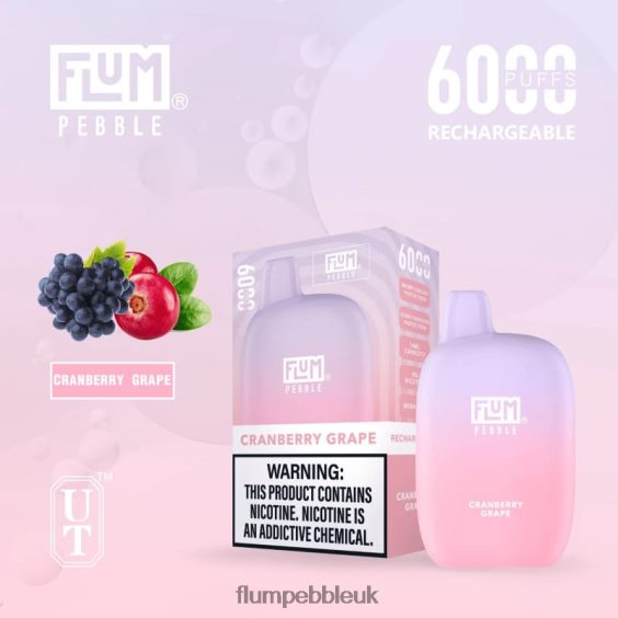 FLUM PEBBLES 6000 PUFFS | Flum Pebble Vape Website R6464B27 Cranberry Grape